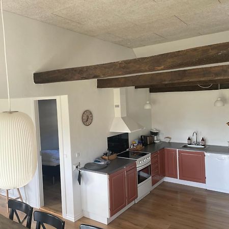 Baekgaarden 3 Rooms Apartment - Old Farm House Odense Exterior photo