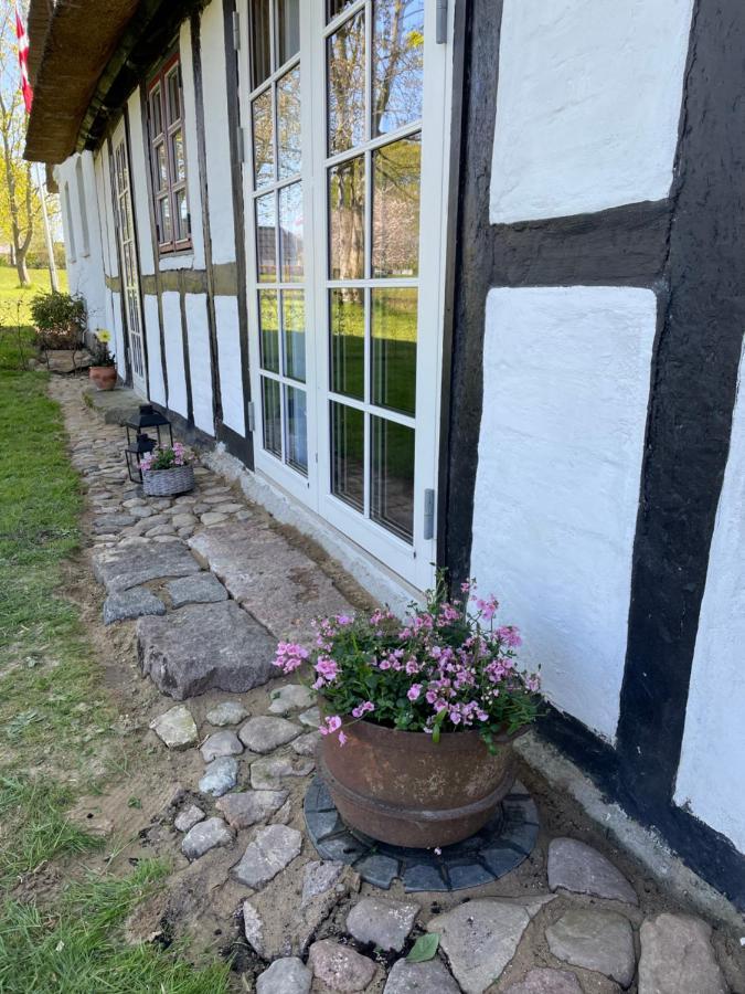Baekgaarden 3 Rooms Apartment - Old Farm House Odense Exterior photo