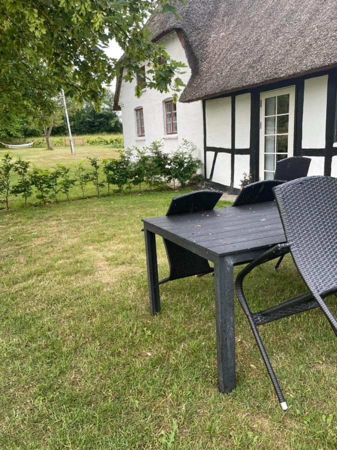 Baekgaarden 3 Rooms Apartment - Old Farm House Odense Exterior photo